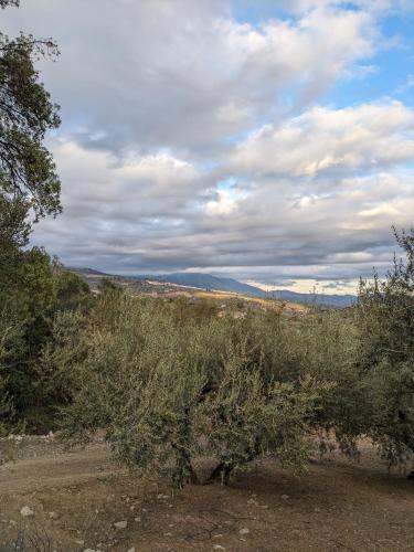 One Life Málaga Retreat