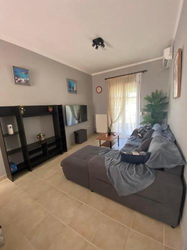 nikol_house, Alepou (fotografie 4)