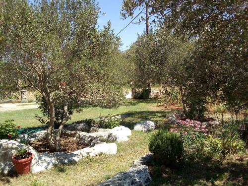 Apartment in Tkon - Insel Pasman 7879, Tkon (fotografie 9)