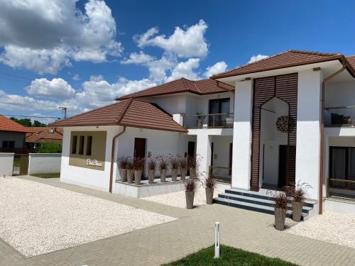 A szálláshely kívülről, CasaBlanca vendégház (CasaBlanca vendeghaz) in Abádszalók