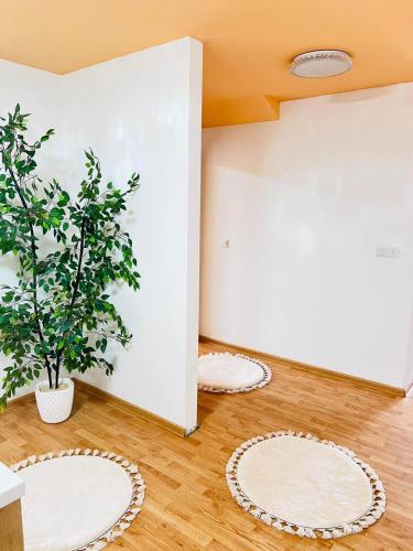 Apartman Citadel in Gradacaca