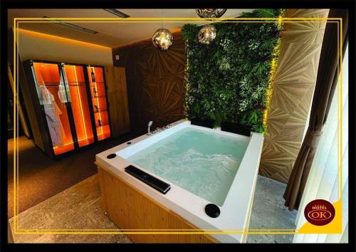 โรงแรมโอเค (Hotel Ok) in ลูบิจเด
