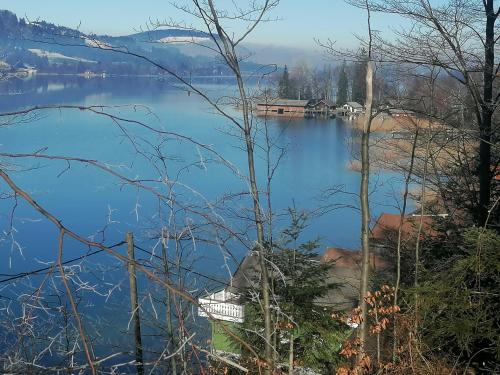 Wunderschone Ferienwohnung mit Seeblick in Zell Am Moos