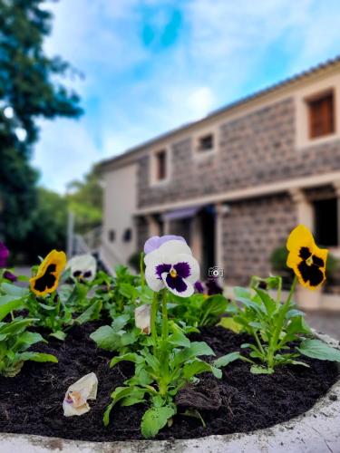 B&B São João do Polêsine - Pousada recanto - Bed and Breakfast São João do Polêsine