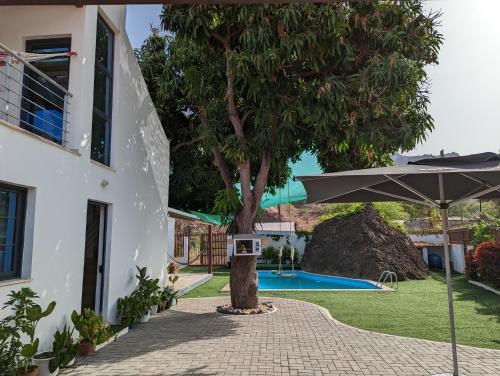 สระว่ายน้ำ, Finca Pedra Molar in รุยวาซ