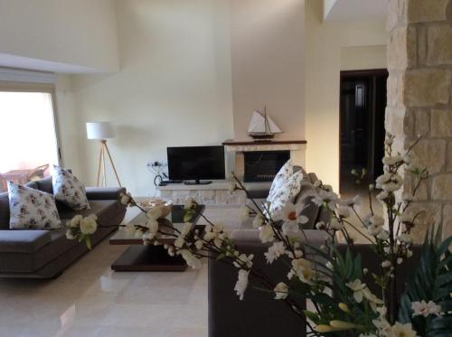 Facilities, Paradise Latchi Villa in Neokhorio