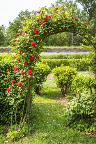 Clos Fleuri : Amboise Home with Amazing Gardens