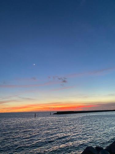 오키나와 본섬 Sun Sea GuestHouse 3성급 싱글룸 수영장