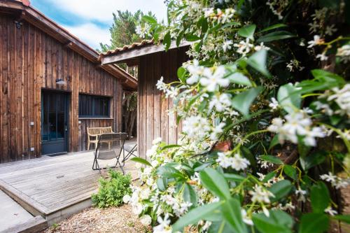 Ma Cabane au Ferret à proximité de l'Océan - Chambre d'hôtes - Lège-Cap-Ferret