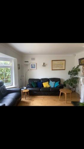 The Piano House in Carlow