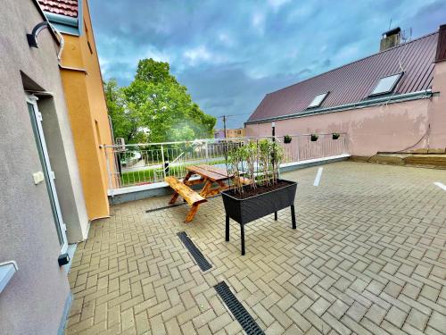 景觀, Penzion bazén víno sklep U Palečků (Penzion bazen vino sklep U Palecku) in 德漢斯歐芬