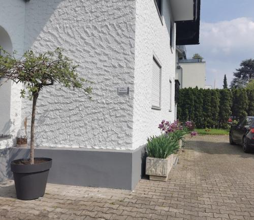 Vedere exterior, Ferienwohnung Magnolie in Langenargen in Langenargen