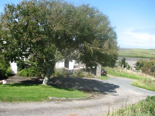 The Old Farmhouse in Crackington Haven
