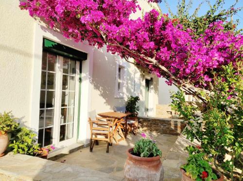 Bougainvillier - Apartment - Andros Chora