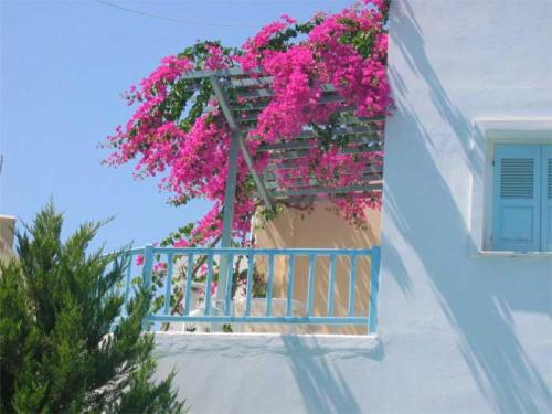Renia Studios - Pool & Beach in 150m - Agia Pelagia, Agia Pelagia (foto 3)