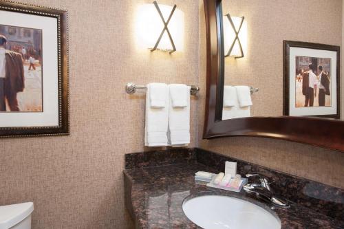 Hilton Garden Inn Indianapolis South/Greenwood - image 12