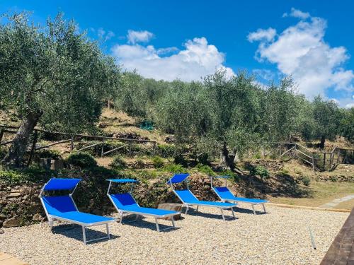 La Casa di Martina, villa con 1 piscina 1 piscina bimbi e parco giochi