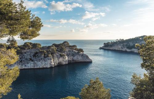 Les restanques de la Panouse, Marseille (photo 9)