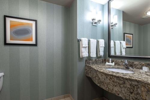 Hilton Garden Inn Lynchburg - image 10