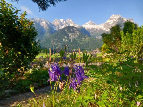 Chalet Scheffsnoth, Lofer (foto 2)