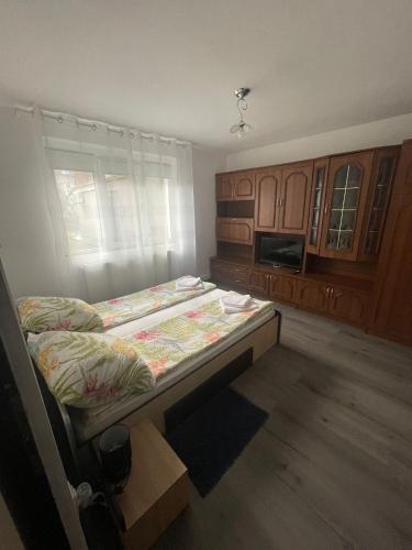 Apartament 1 - Apartment - Haţeg