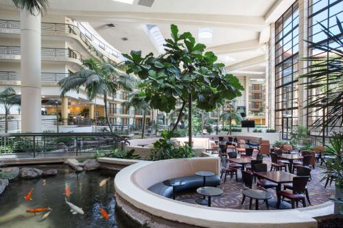 Embassy Suites by Hilton Phoenix Biltmore