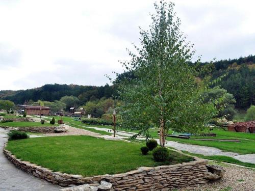 Dārzs, Къмпинг за Каравани и Кемпери Барите - Caravan Pitch Park Barite in Kipra