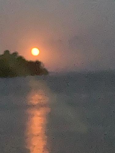 EDEM SEVAN, Sewan (zdjęcie 6)