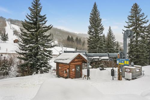12 Aspens in Beaver Creek, USA