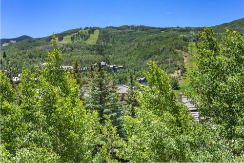 12 Aspens in Beaver Creek, USA