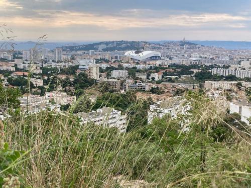 Les restanques de la Panouse, Marseille (photo 5)