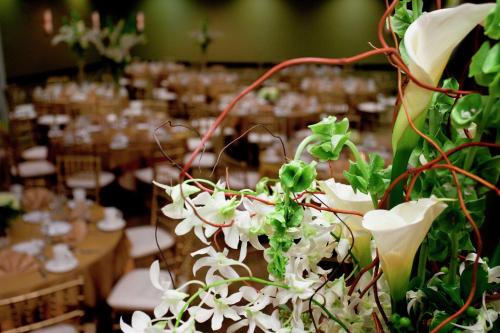 Hilton Garden Inn Seattle/Bothell - image 12