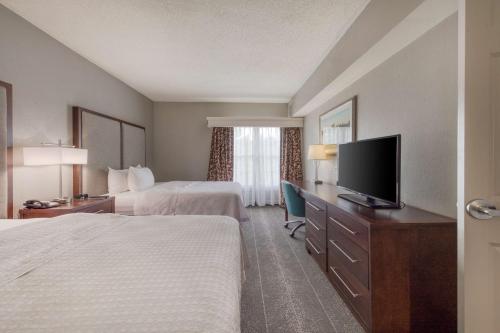2 bedrooms, 5 beds