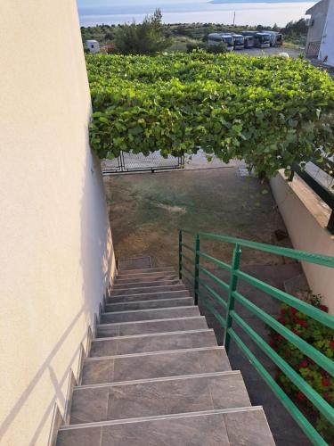 Three Bedroom Apartment image 4