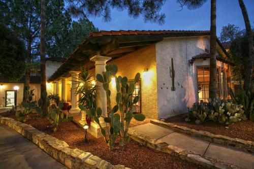DoubleTree Suites by Hilton Tucson Airport - image 6