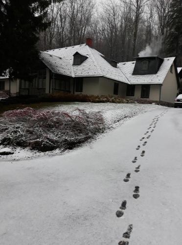 Wenckheim Vadászház (Wenckheim Vadaszhaz) in Bernecebaráti