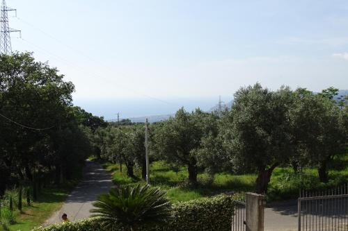 B&B Nucria - Nocera Terinese
