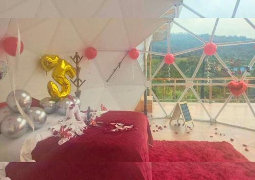 Wallaby Glamping - Domo Deluxe in Silvania