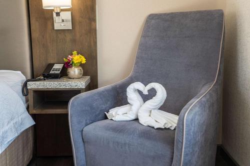 Hampton Inn San Francisco Downtown/Convention Center Room Type - King Room - Mobility Accessible with Bathtub