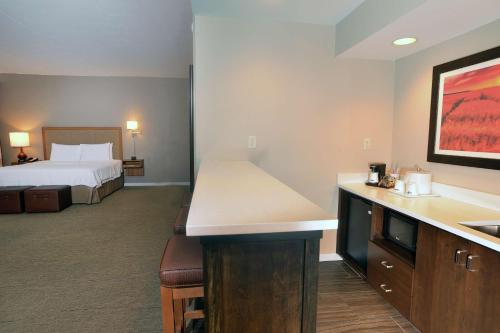 Hampton Inn Springfield-Southeast, MO