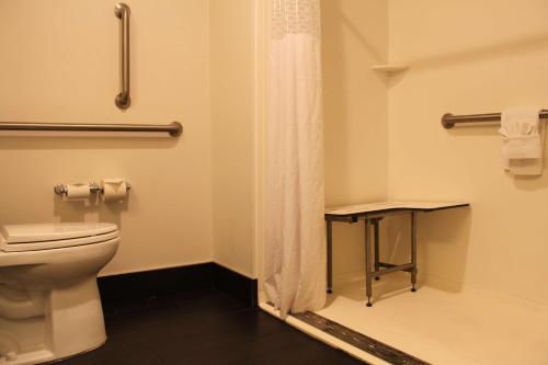 Hampton Inn Bainbridge GA - image 11