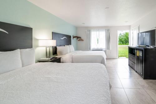 Everglades City Motel - Everglades Adventures Inn