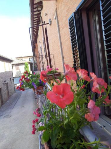 La Corte degli Angeli - image 14