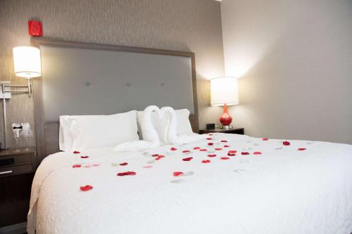 Hampton Inn & Suites - Toledo/Oregon - image 7