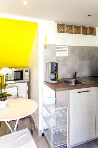 مطبخ, Villa Schiller, 2 studios cote jardin - quartier Orangerie in كوارتير دي لإسبلاندي