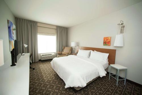 Hilton Garden Inn San Antonio-Live Oak Conference Center - image 12