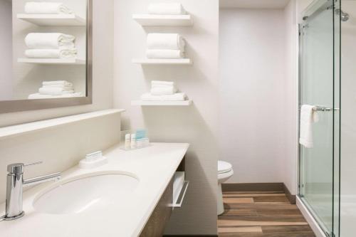 Hampton Inn & Suites Mason City IA - image 10