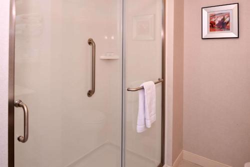 Hampton Inn & Suites Albany-East Greenbush NY - image 5