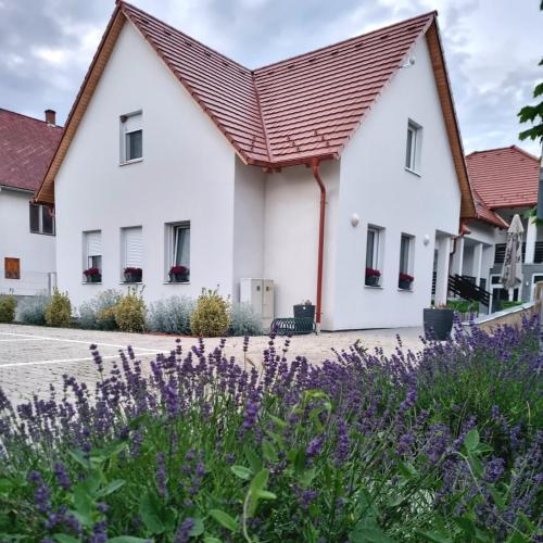 Domb Apartmanok