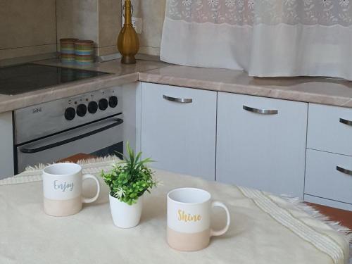 Alle's M Shyri studio apartment, Tirana (photo 8)